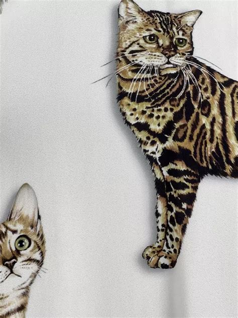 dolce gabbana bengal